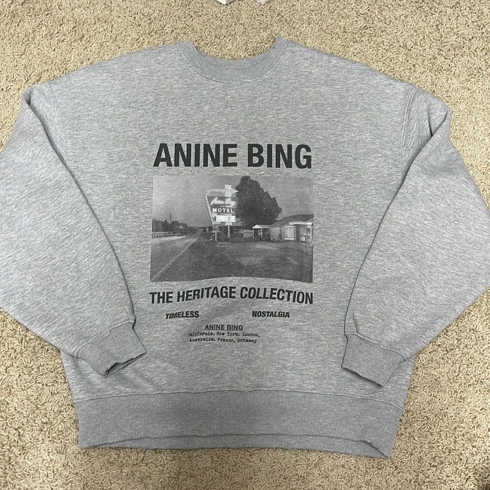 Anine bing sweatshirt